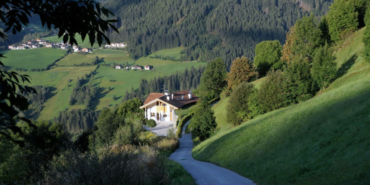 gerhard telfes
